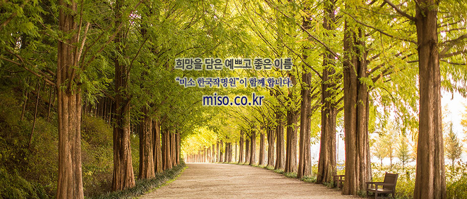 miso.co.kr