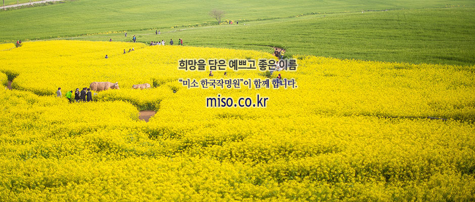 miso.co.kr