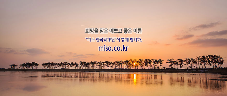 miso.co.kr